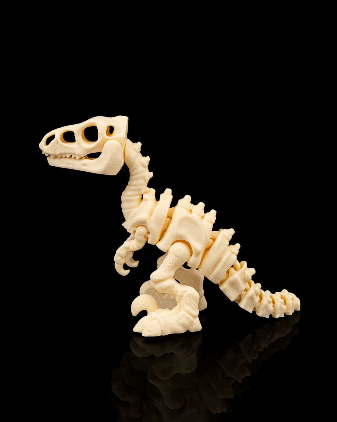 Skeleton_Velociraptor2_f59b54412d.jpg