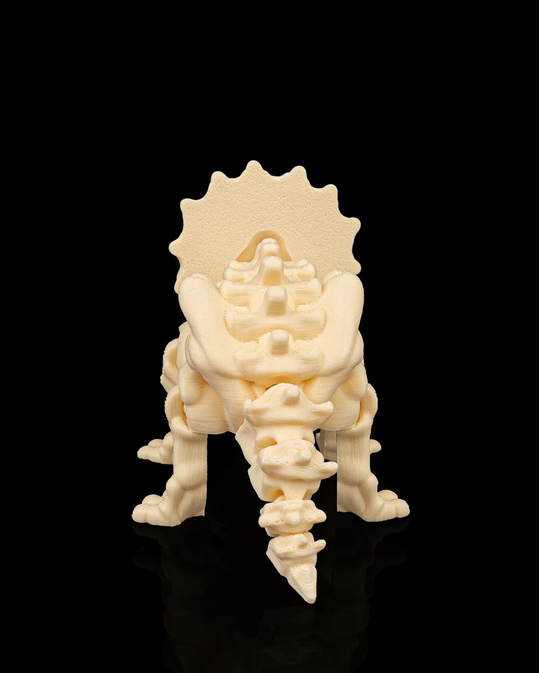 Skeleton_Triceratops3_947e7c4571.jpg