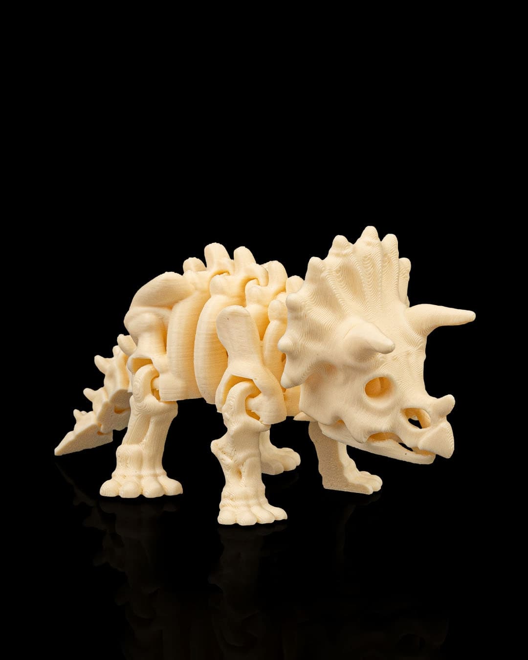 Skeleton_Triceratops1_c8cec75dce.jpg