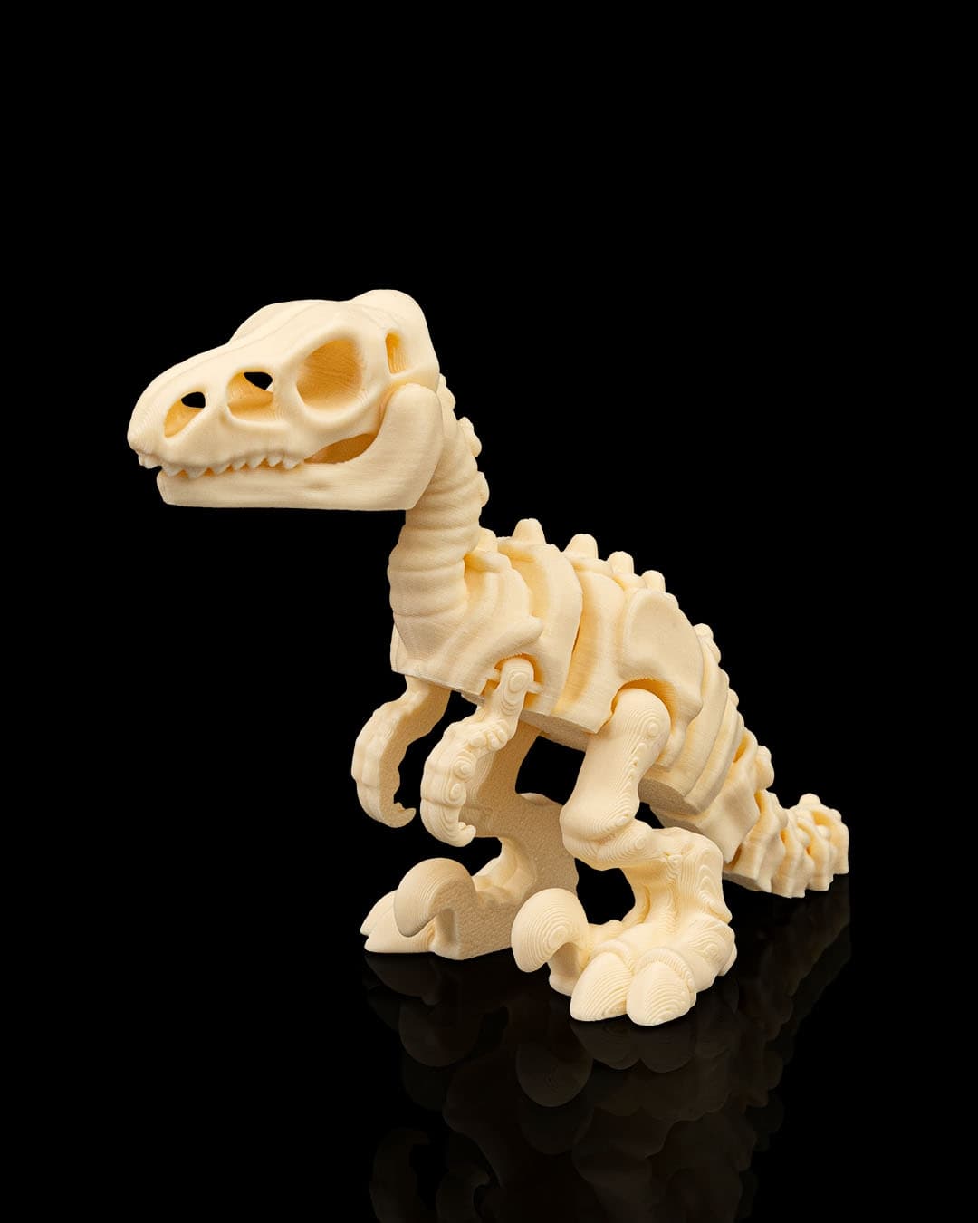 Skeleton_Velociraptor1_4a2220a65e.jpg