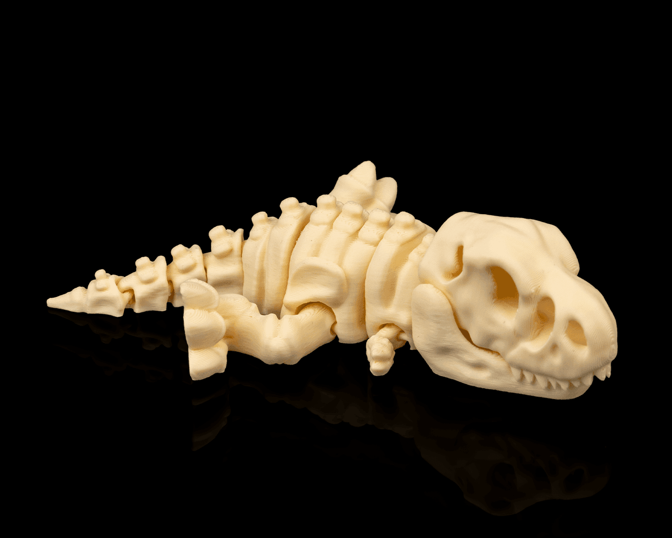 Skeleton_T_Rex_2_9d6366b3f8.png