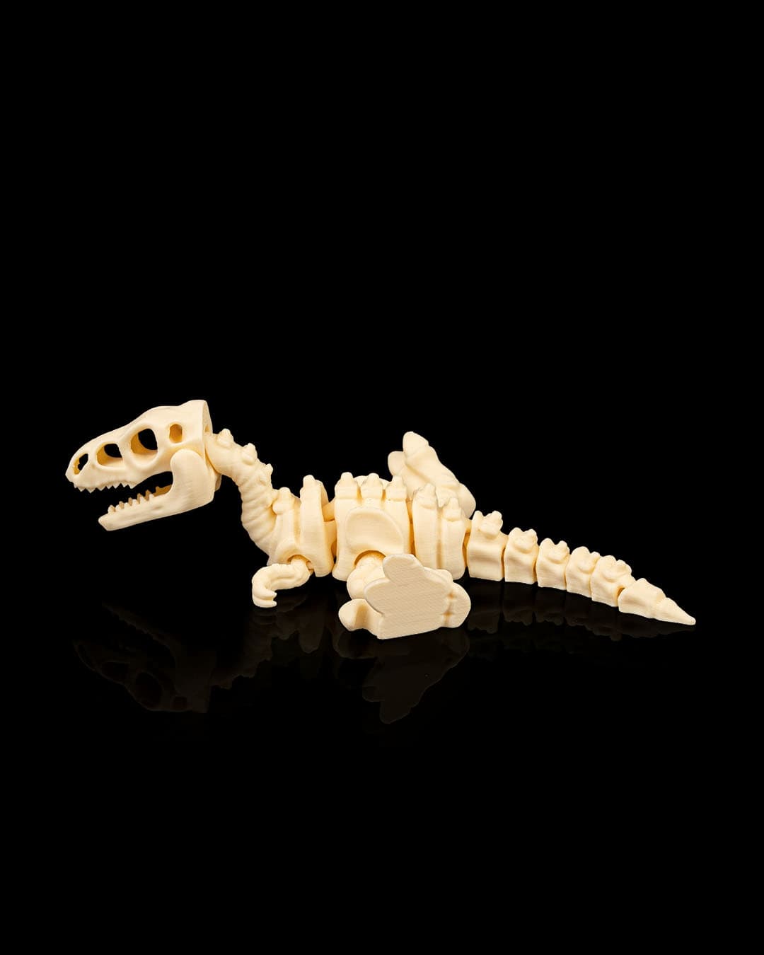 Skeleton_Velociraptor6_9988a1f6df.jpg