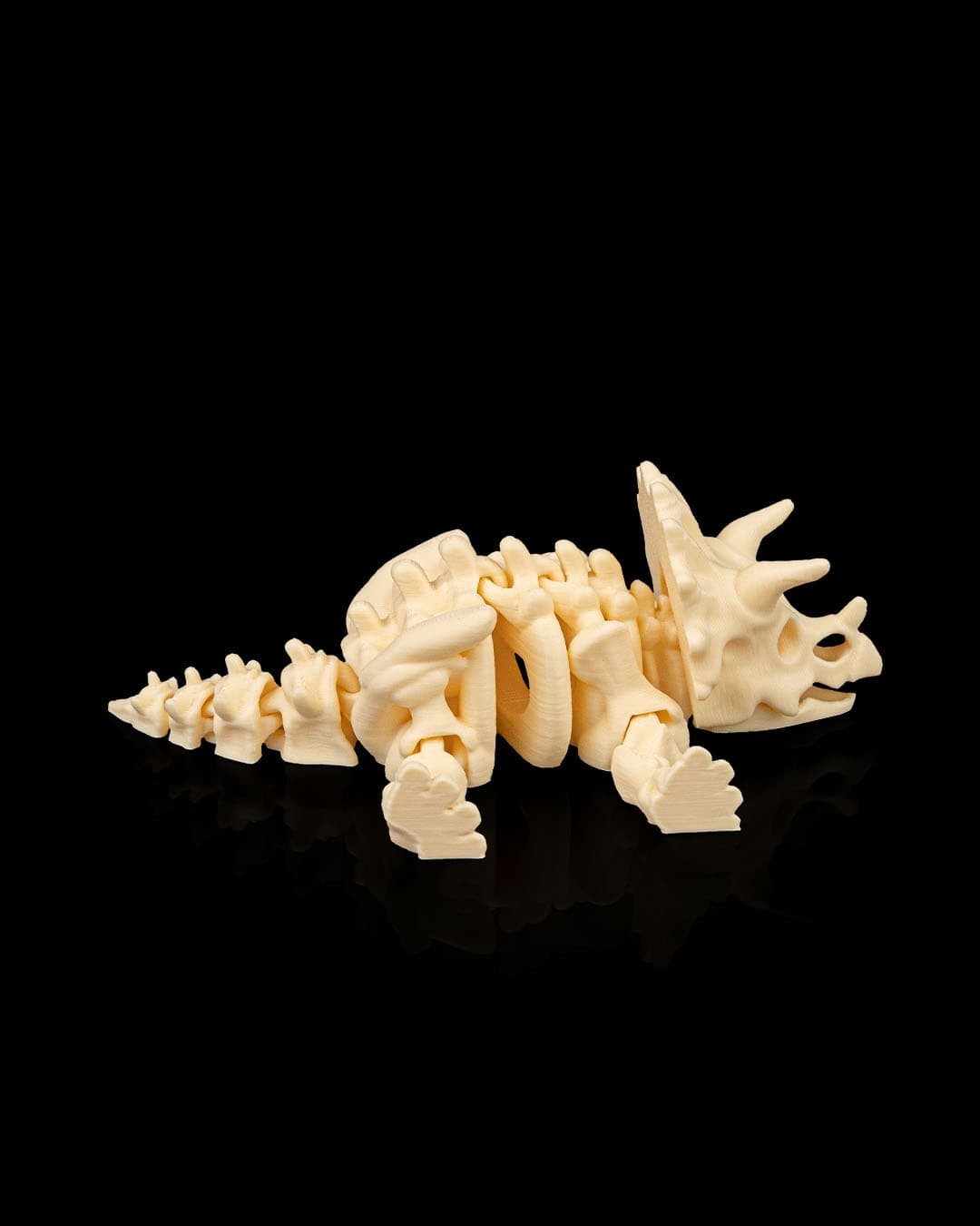 Skeleton_Triceratops6_290c6005df.jpg