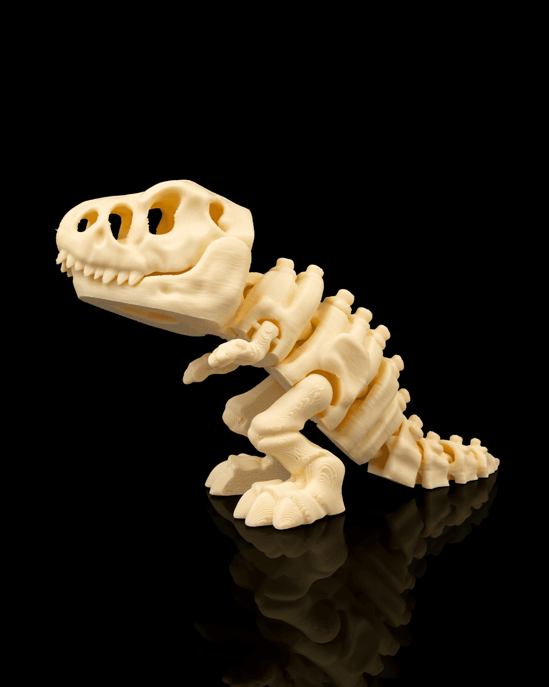 Skeleton_T_Rex_3_0d6d28748d.png