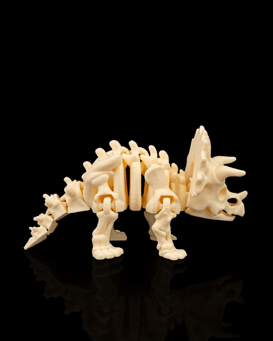 Skeleton_Triceratops2_37da24f1a2.jpg